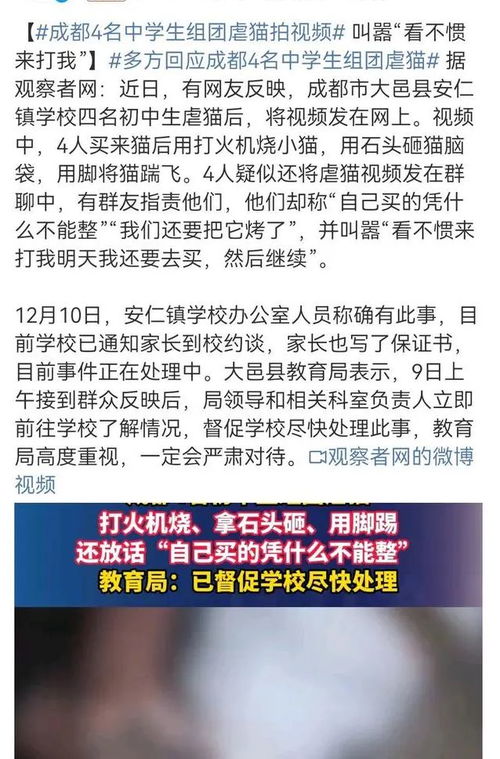 四名中学生组团虐猫事件，官方责令停课反省